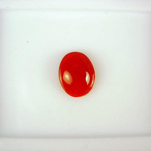 血赤珊瑚 9×7mm 小判 ジュエリールース ad216