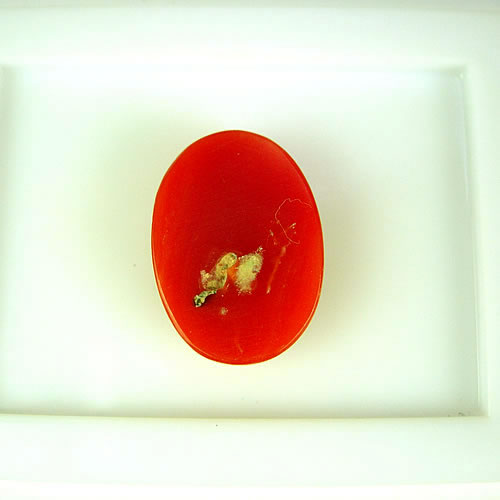 血赤珊瑚　16×12mm 小判　ジュエリールース ad488 画像