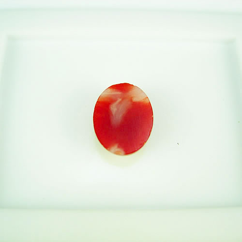 血赤珊瑚　10×8mm　小判 ジュエリールース ad652 画像