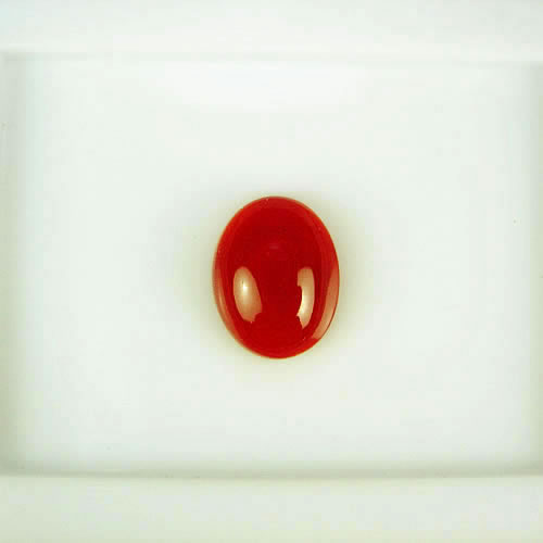 血赤珊瑚　10×8mm　小判 　ジュエリールース ad906