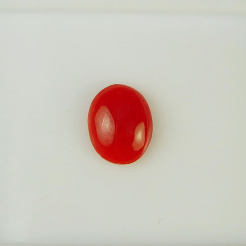 血赤珊瑚　9×7mm　小判 　ジュエリールース bd290