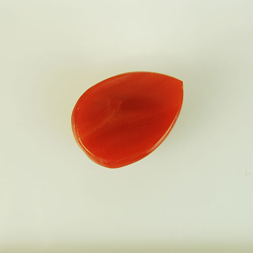 血赤珊瑚　11×8mm　PS　ジュエリールース bd784 画像