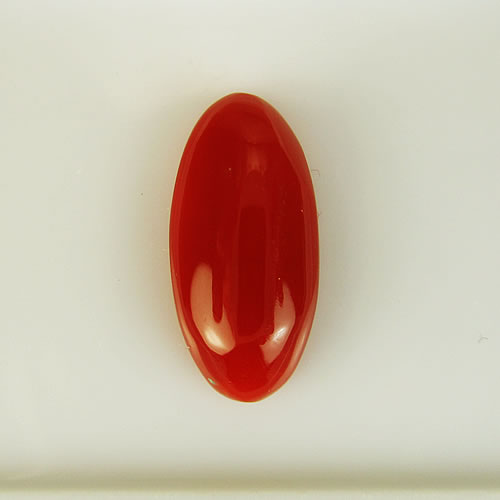 血赤珊瑚　16×8mm　小判 　ジュエリールース bd786