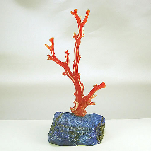 血赤珊瑚　枝　ミニ盆栽サイズ　オブジェ bd881 画像
