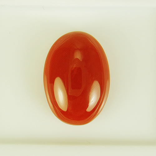 血赤珊瑚　17×12mm 小判　ジュエリールース cd137