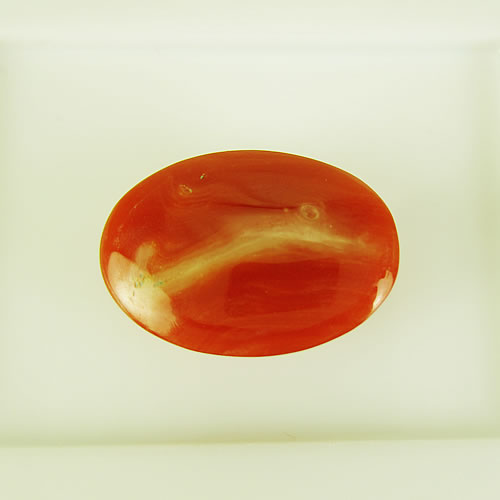 血赤珊瑚　17×12mm 小判　ジュエリールース cd137 画像