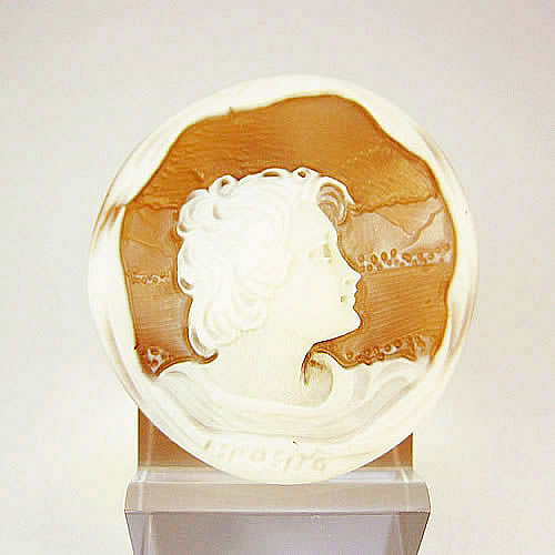 シェルカメオ 手彫り 　35×35mm 　ジュエリールース cd388 画像