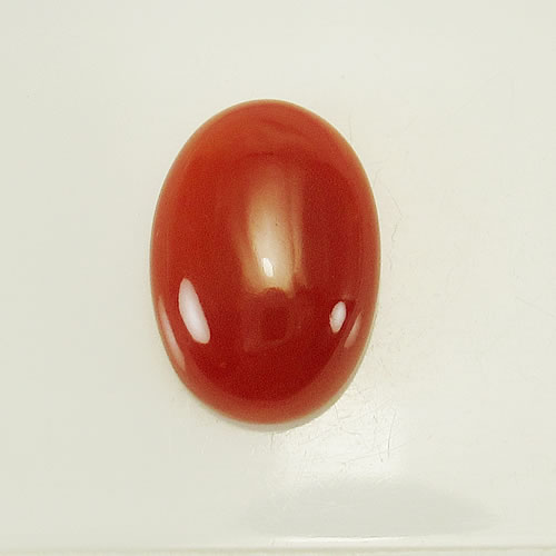血赤珊瑚　14×10mm　小判　ジュエリールース cd855