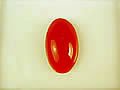 血赤珊瑚　15×9mm　小判 ジュエリールース