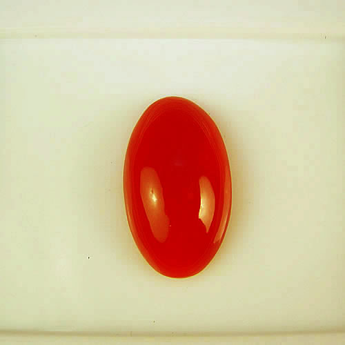血赤珊瑚　15×9mm　小判 ジュエリールース cd953