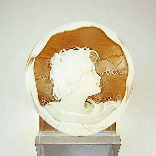 シェルカメオ 手彫り 　35×35mm 　ジュエリールース cd977