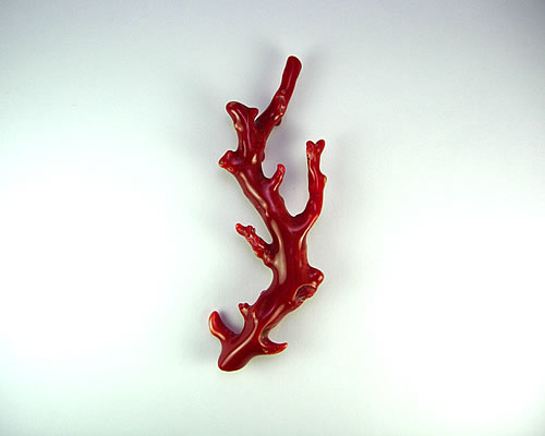 血赤珊瑚　枝　18.1g　ジュエリールース dc600