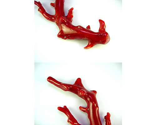 血赤珊瑚　枝　18.1g　ジュエリールース dc600 画像