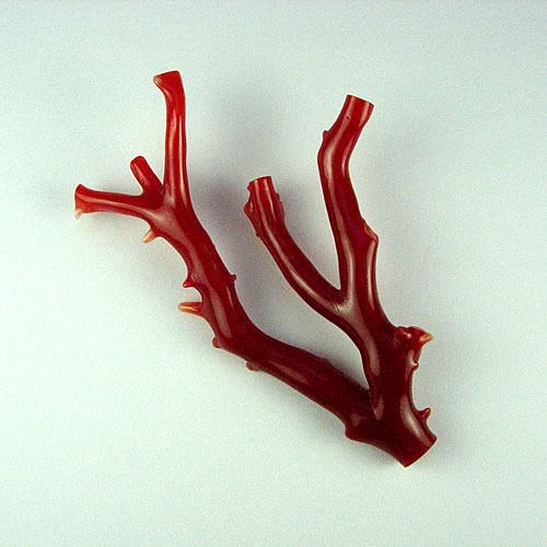 血赤珊瑚　枝　52×37mm　ジュエリールース dc604 画像