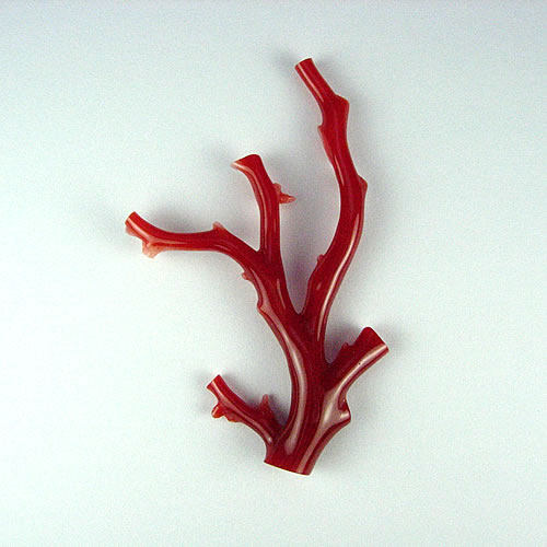 血赤珊瑚　枝　58×39mm　ジュエリールース dc605