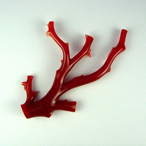 血赤珊瑚　枝　58×39mm　ジュエリールース dc605 画像
