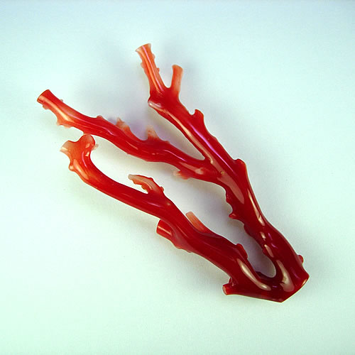 血赤珊瑚　枝　63×33mm　ジュエリールース dc644 画像