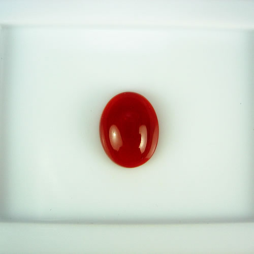 血赤珊瑚　10×8mm　小判 ジュエリールース df259