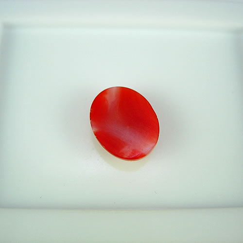 血赤珊瑚　10×8mm　小判 ジュエリールース df260 画像