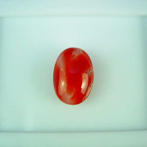 赤珊瑚　12×8mm　小判　ジュエリールース df363 画像