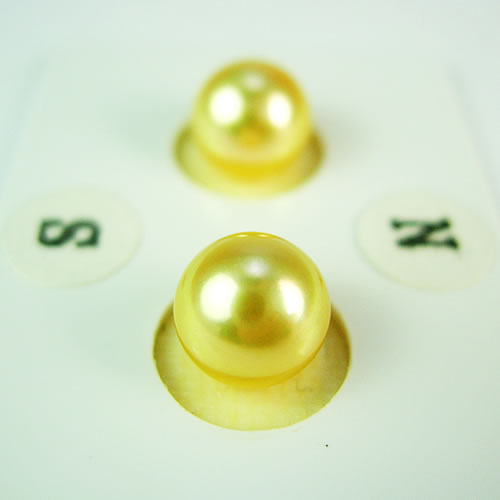 アコヤパール　 7.5mm ペア　ゴールド染　ジュエリールース df918 画像