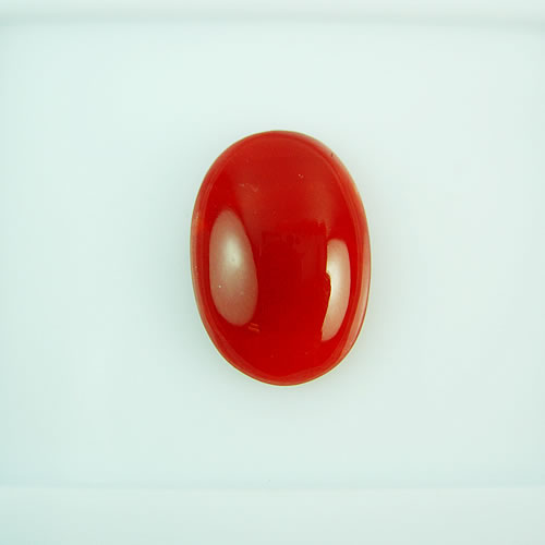 血赤珊瑚　14×10mm　小判 ジュエリールース dg138