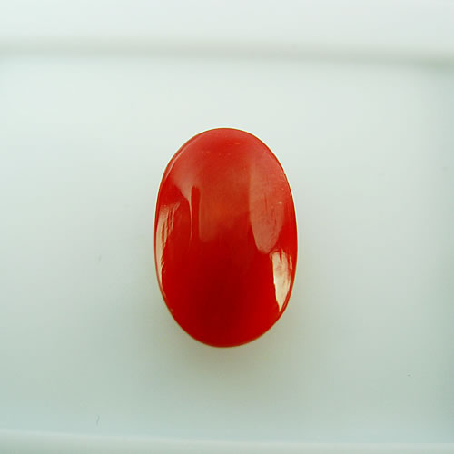 赤珊瑚　13×8mm　小判　ジュエリールース dg167 画像