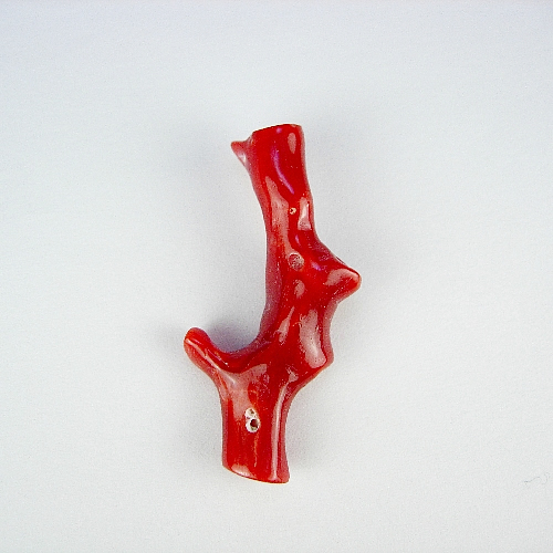血赤珊瑚 枝 31×15mm ジュエリールース dg978 画像