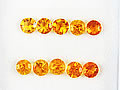 ファイアーオパール　0.73ct　10ps　ジュエリールース