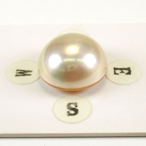 マベパール　 15.2mm　ジュエリールース ed725