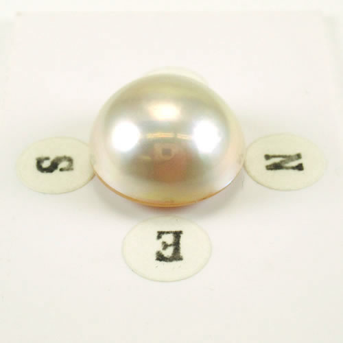 マベパール　 15.2mm　ジュエリールース ed725 画像