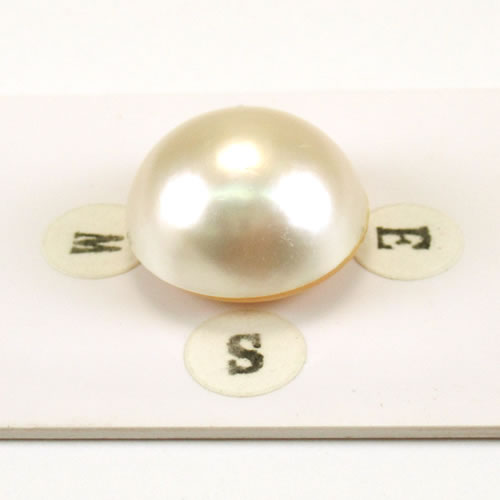 マベパール 16.8mm ジュエリールース ed728