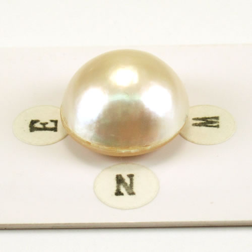 マベパール 16.8mm ジュエリールース ed728 画像