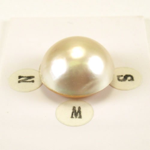 マベパール 16.8mm ジュエリールース ed728 画像