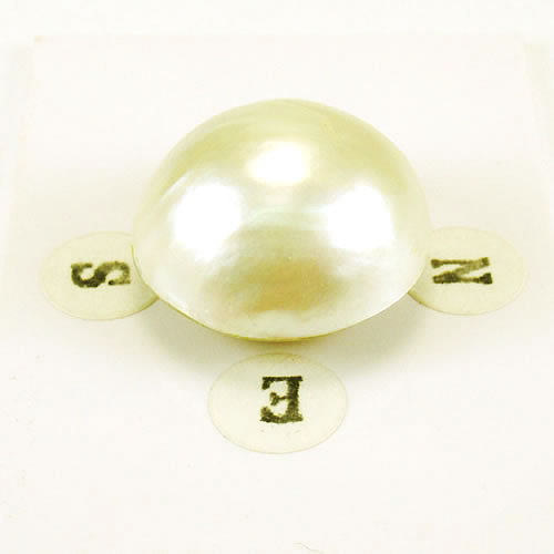 マベパール 18.5mm ジュエリールース ed729 画像