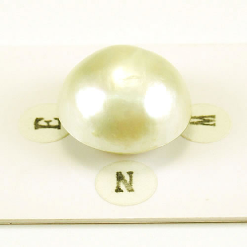 マベパール 18.5mm ジュエリールース ed729 画像