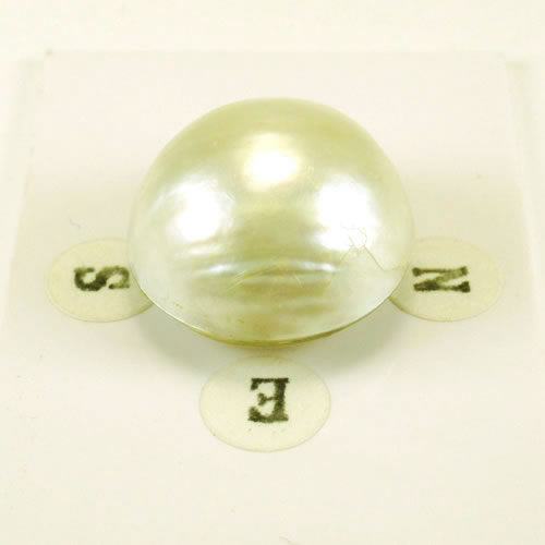 マベパール 18.8mm ジュエリールース ed730 画像