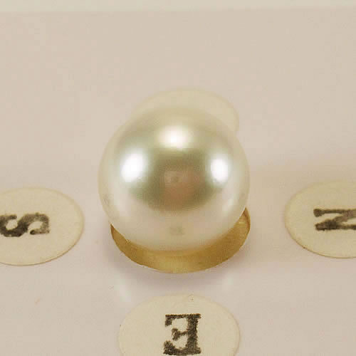 南洋パール 10.6mmラウンド ジュエリールース ed758 画像