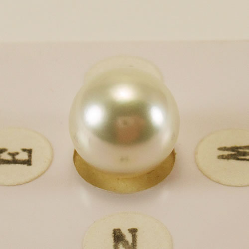 南洋パール 10.6mmラウンド ジュエリールース ed758 画像