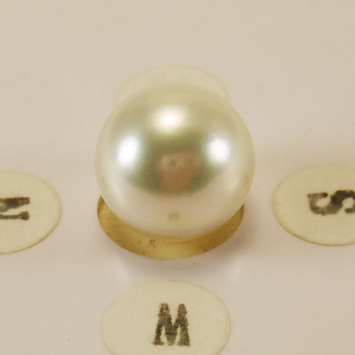 南洋パール 10.6mmラウンド ジュエリールース ed758 画像