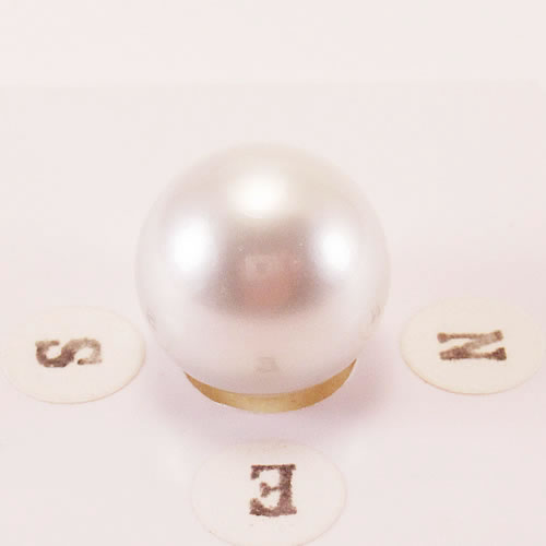 南洋パール 13.8mm ジュエリールース ed759 画像