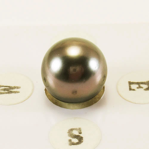 タヒチパール 10.8mm ジュエリールース ed761