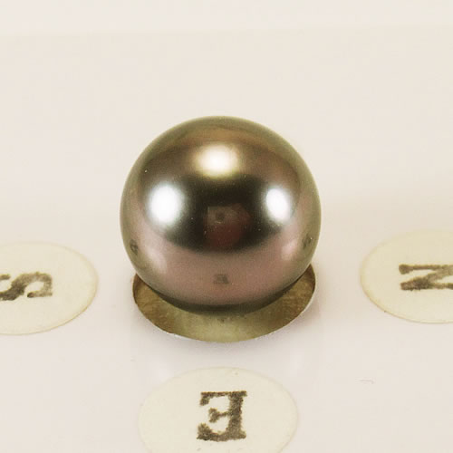 タヒチパール 10.8mm ジュエリールース ed761 画像