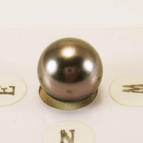 タヒチパール 10.8mm ジュエリールース ed761 画像