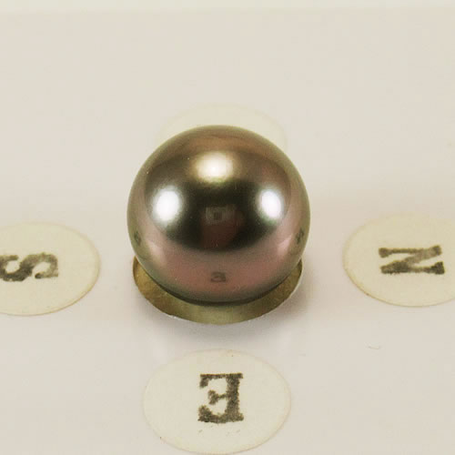 タヒチパール 10.5mm ジュエリールース ed762 画像