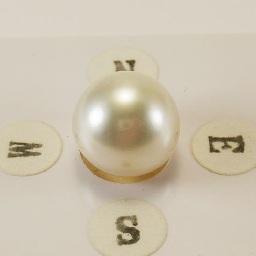 南洋パール 　11.3mm 　ジュエリールース ed763