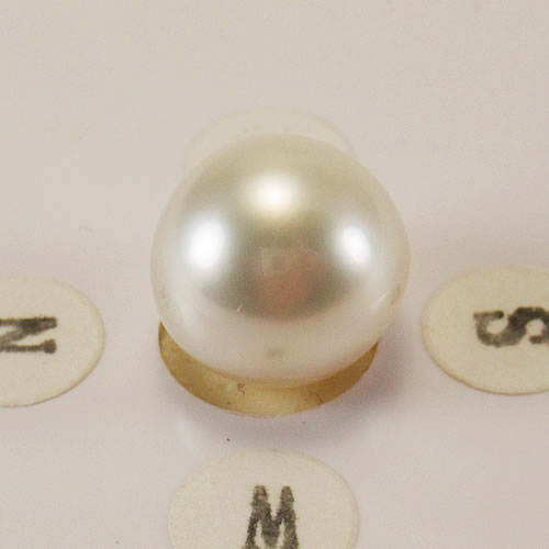 南洋パール 　11.3mm 　ジュエリールース ed763 画像