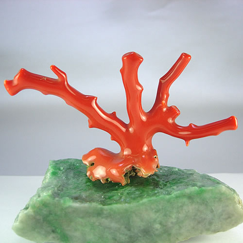 赤珊瑚　枝　ミニ盆栽サイズ　オブジェ sb386 画像