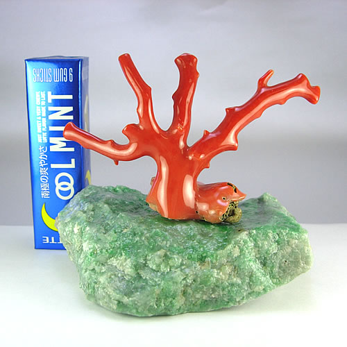 赤珊瑚　枝　ミニ盆栽サイズ　オブジェ sb386 画像