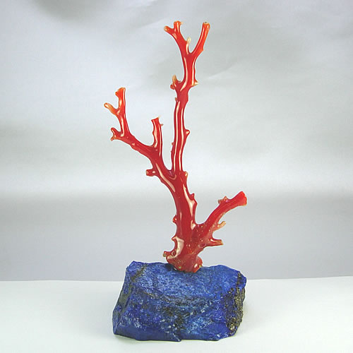血赤珊瑚　枝　ミニ盆栽サイズ　オブジェ sb388